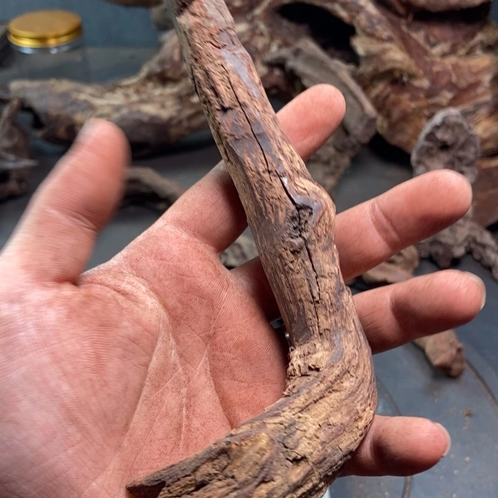 黄花梨/降香黄檀自**受海南红降