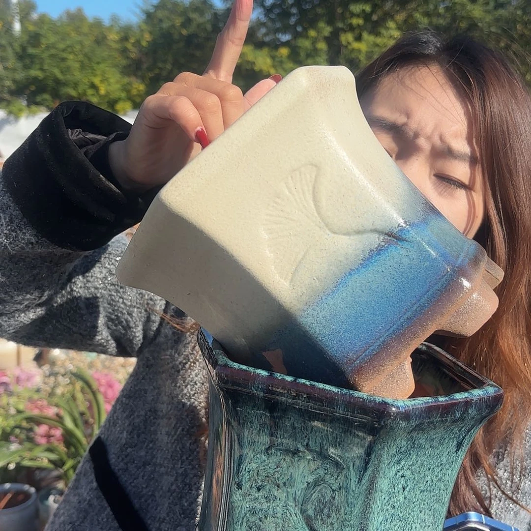 两个六方白蓝加绿