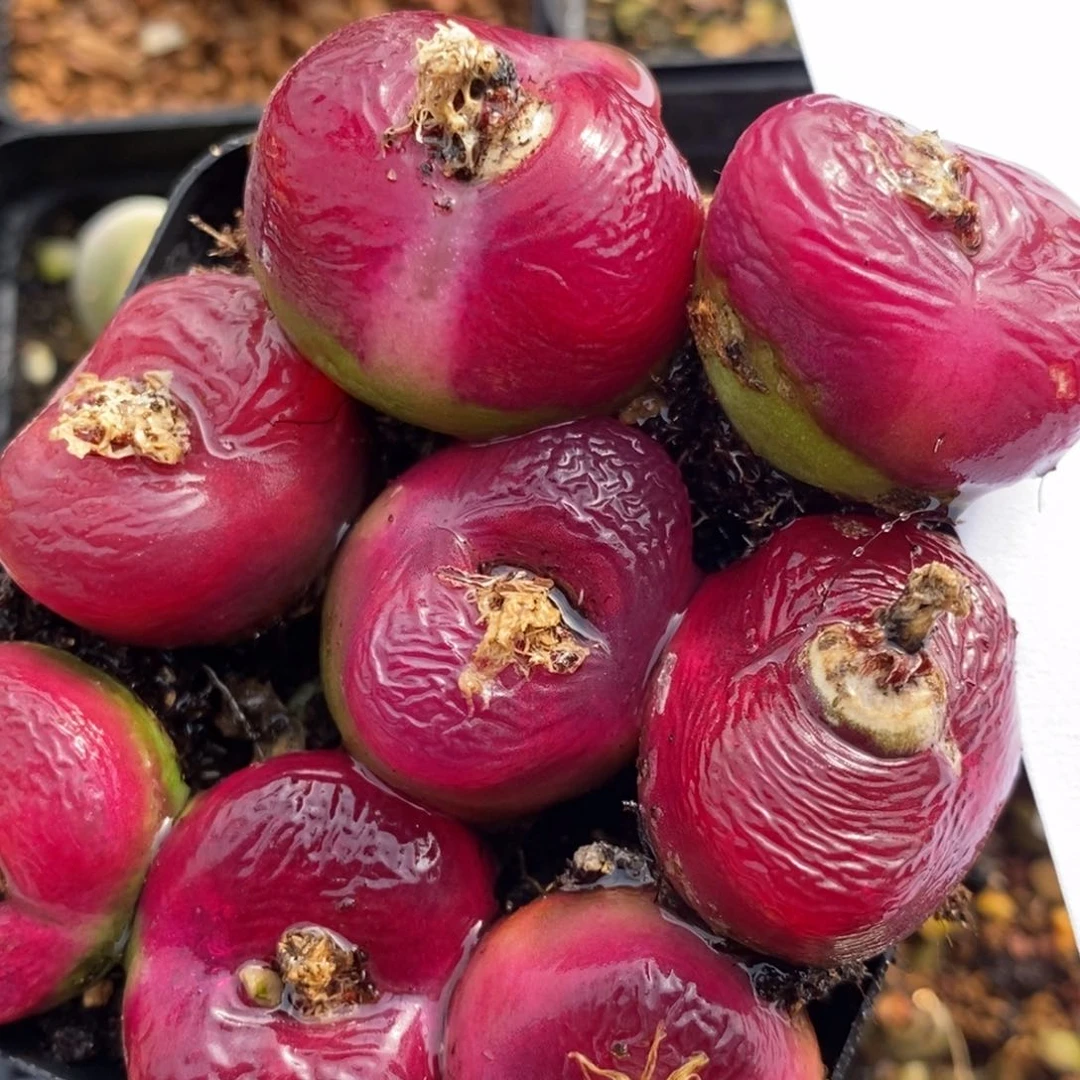 1245一组一组一组