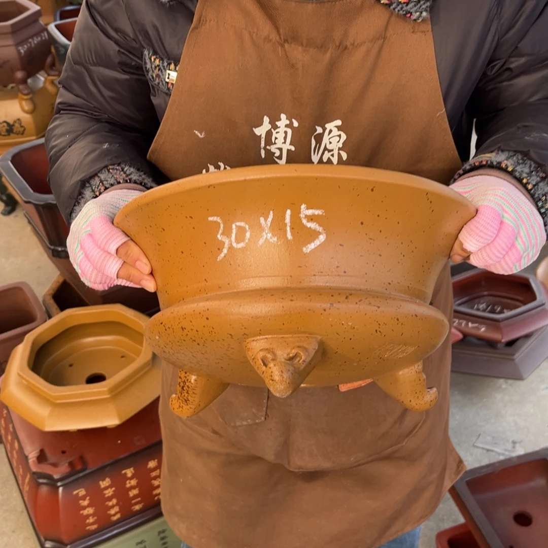 花盆紫砂盆景艺术
