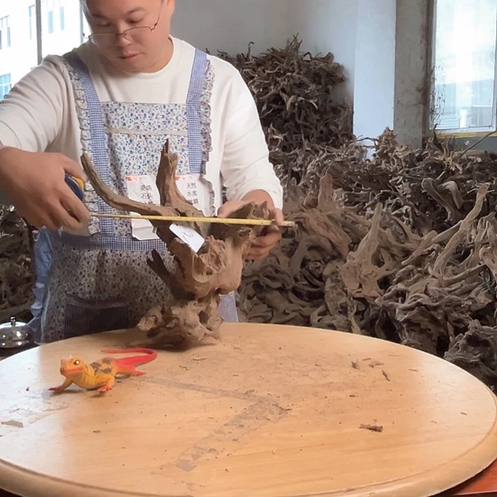 木352535 鱼缸造景根雕艺术156