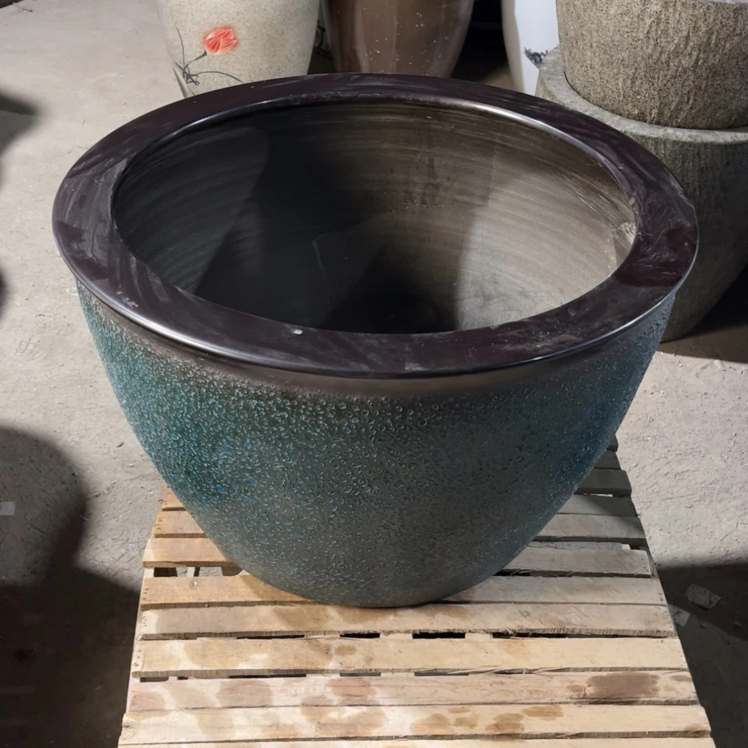 瓷片兰泡62.88888888