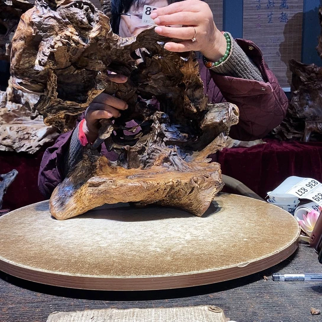 辣***辣835。株木随行根艺