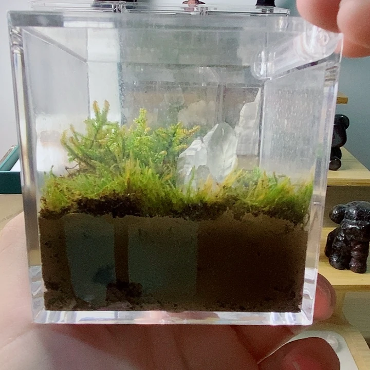 水晶珠宝半成品未镶嵌