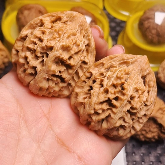 文玩核桃43尺九龙筋
