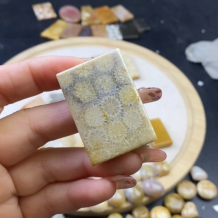 硅化珊瑚（珊瑚玉）未镶嵌颈饰6
