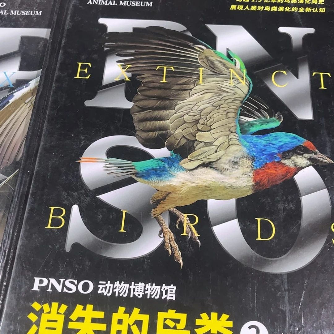 消失的鸟类套装2本微瑕