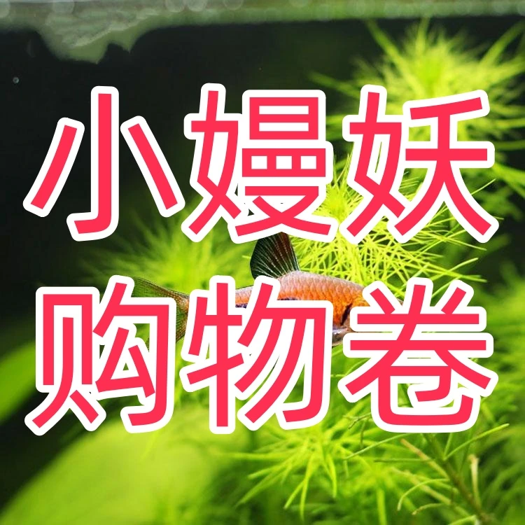 小嫚妖小嫚妖-购物中心-合集