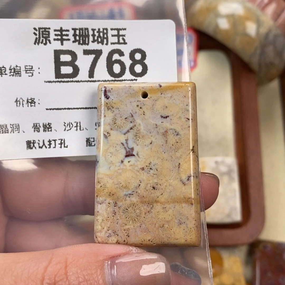 硅化玉颈饰未镶嵌用****9