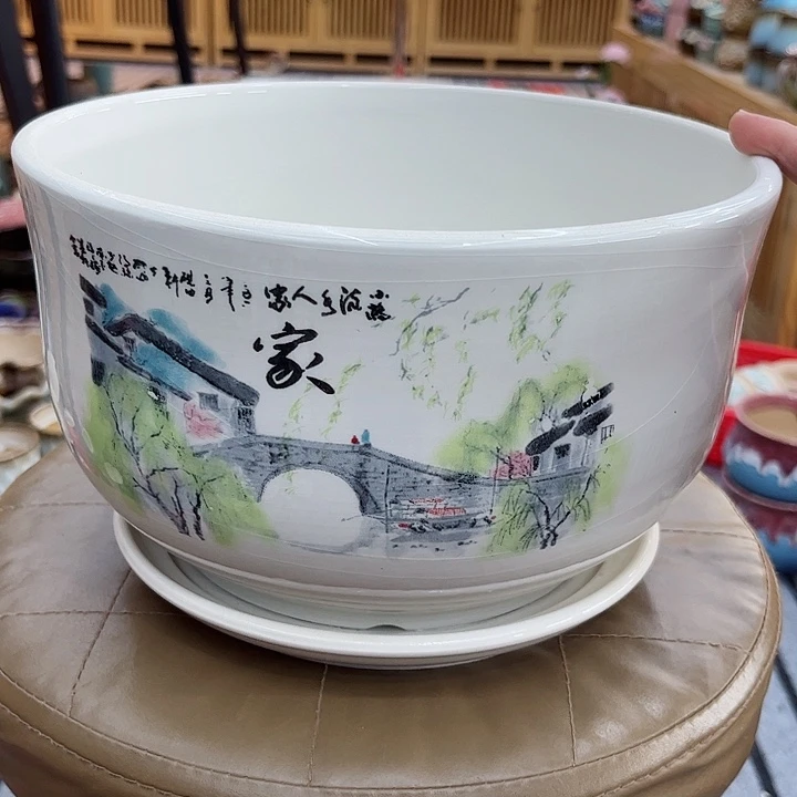 多肉植物陶瓷花盆