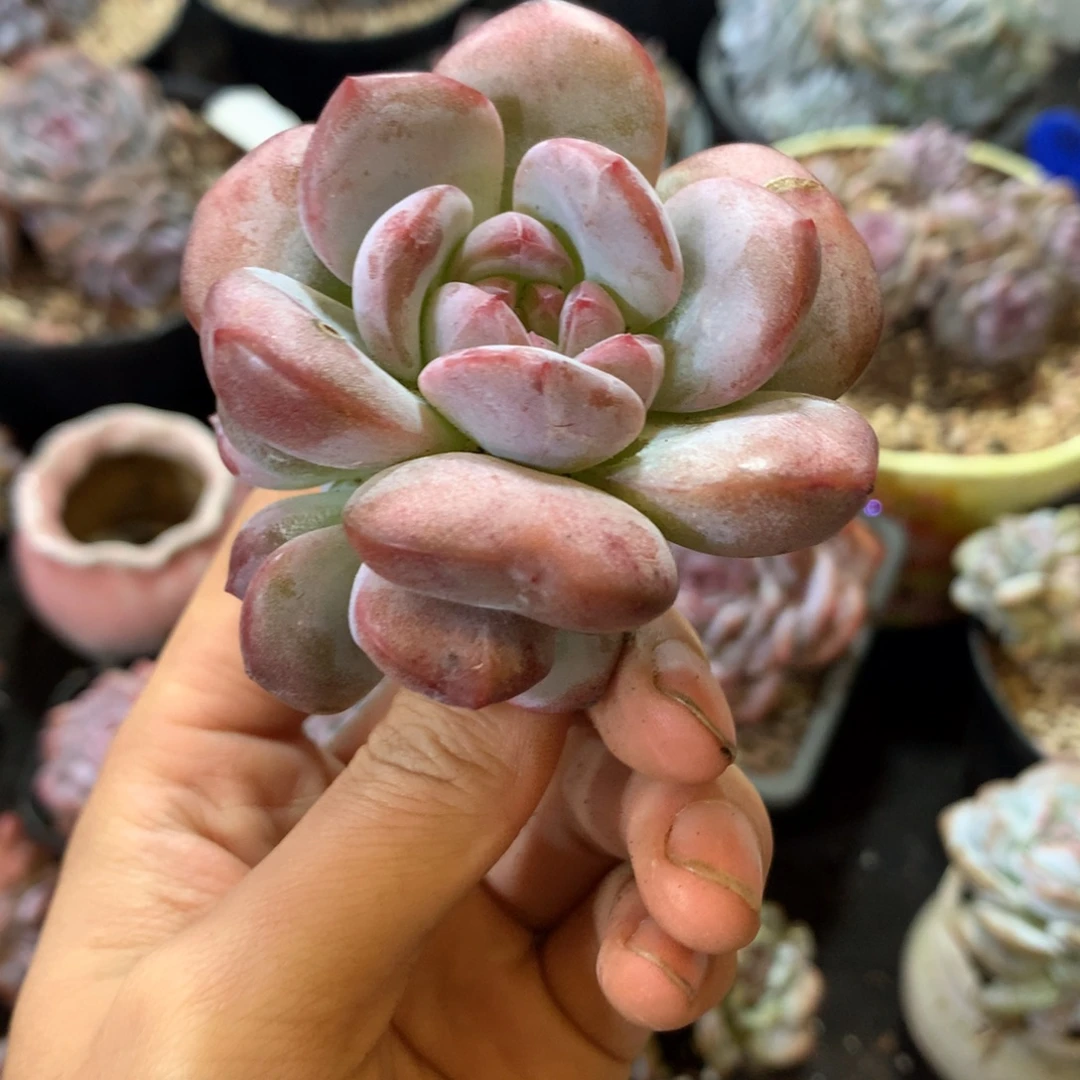 哈哈哈哈哈哈哈哈哈