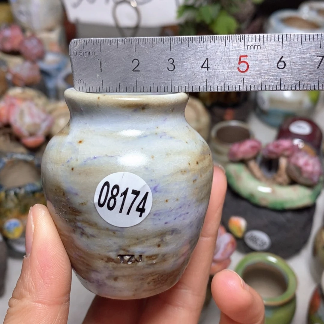 花盆拍5送一个小礼物