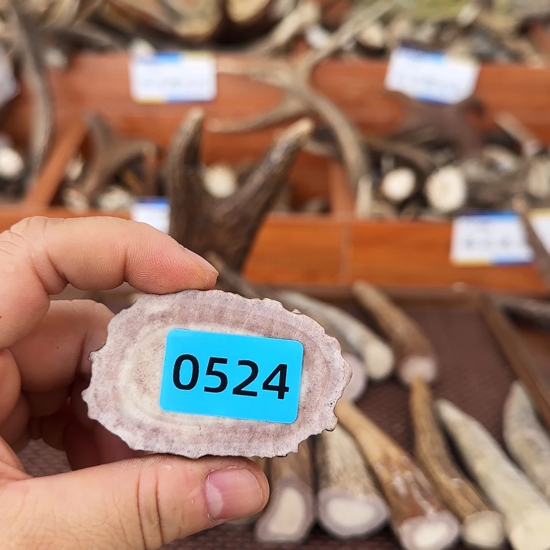 手串/手链鹿骨段0524