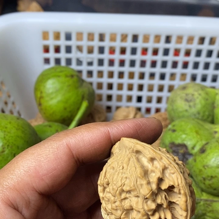 安***净大叶紫檀（黑酸枝木类）