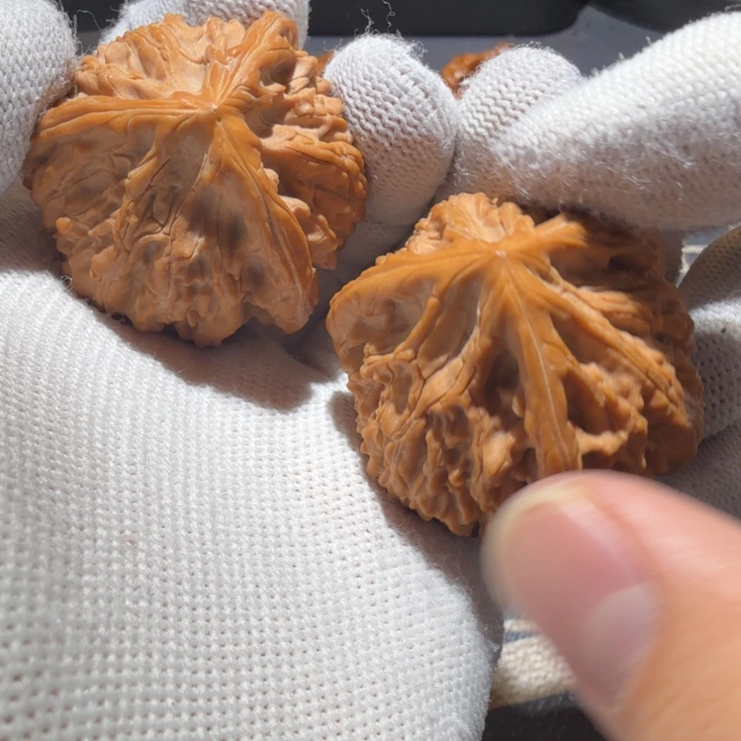 把件文玩核桃御龙正奔