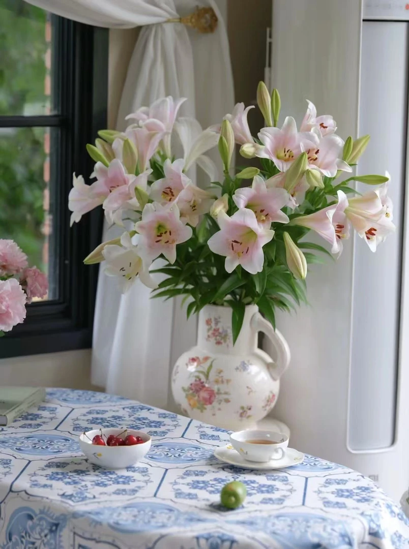 【粉铁炮百合】 粉百合 收到需醒花 云南基地鲜花直发