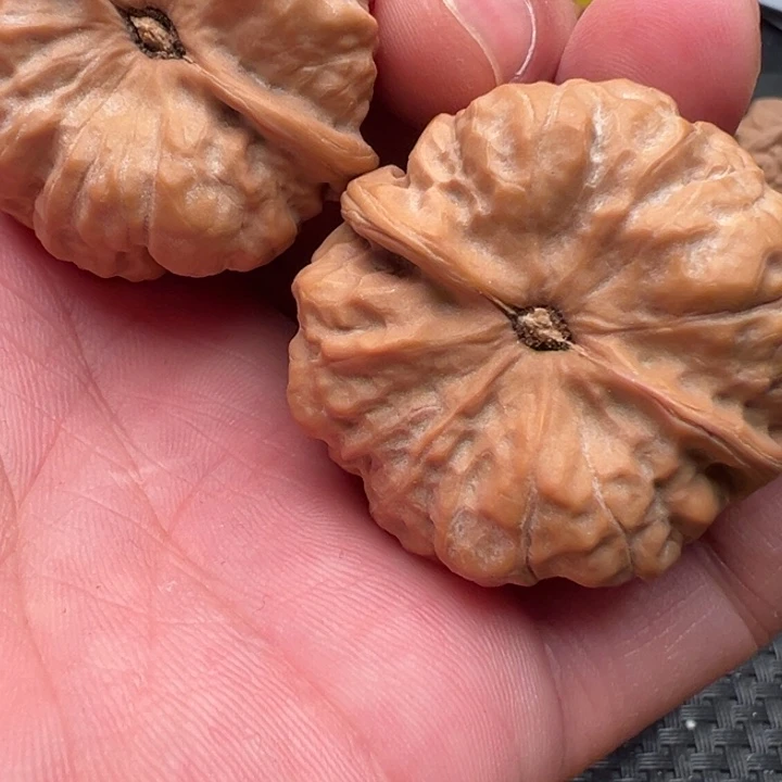 阿***丁核桃文玩核桃文玩核桃