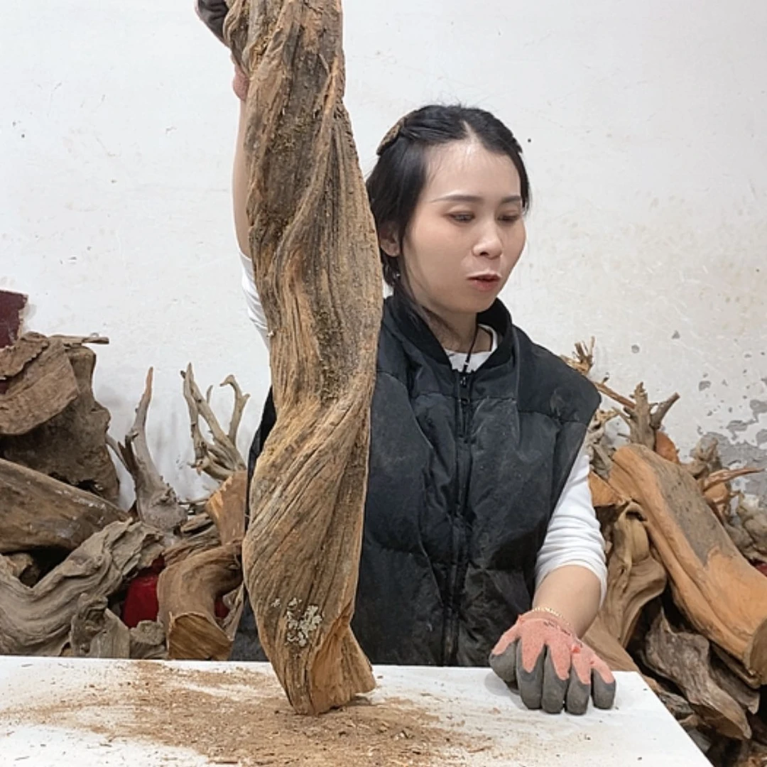 【闪购商品】柏木东*我们都是好孩子