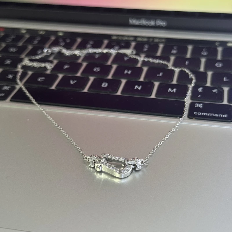 钛钢项链 1843-经典马蹄银色项链