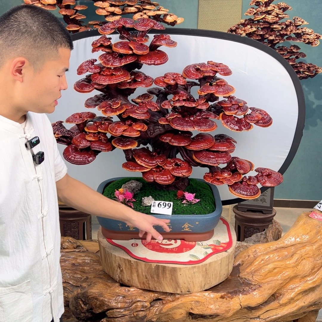 无花朵8888888888