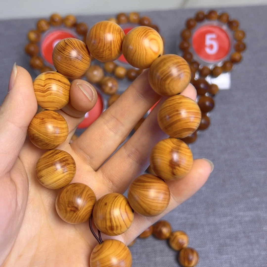 柏木（崖柏）太行崖柏2.0