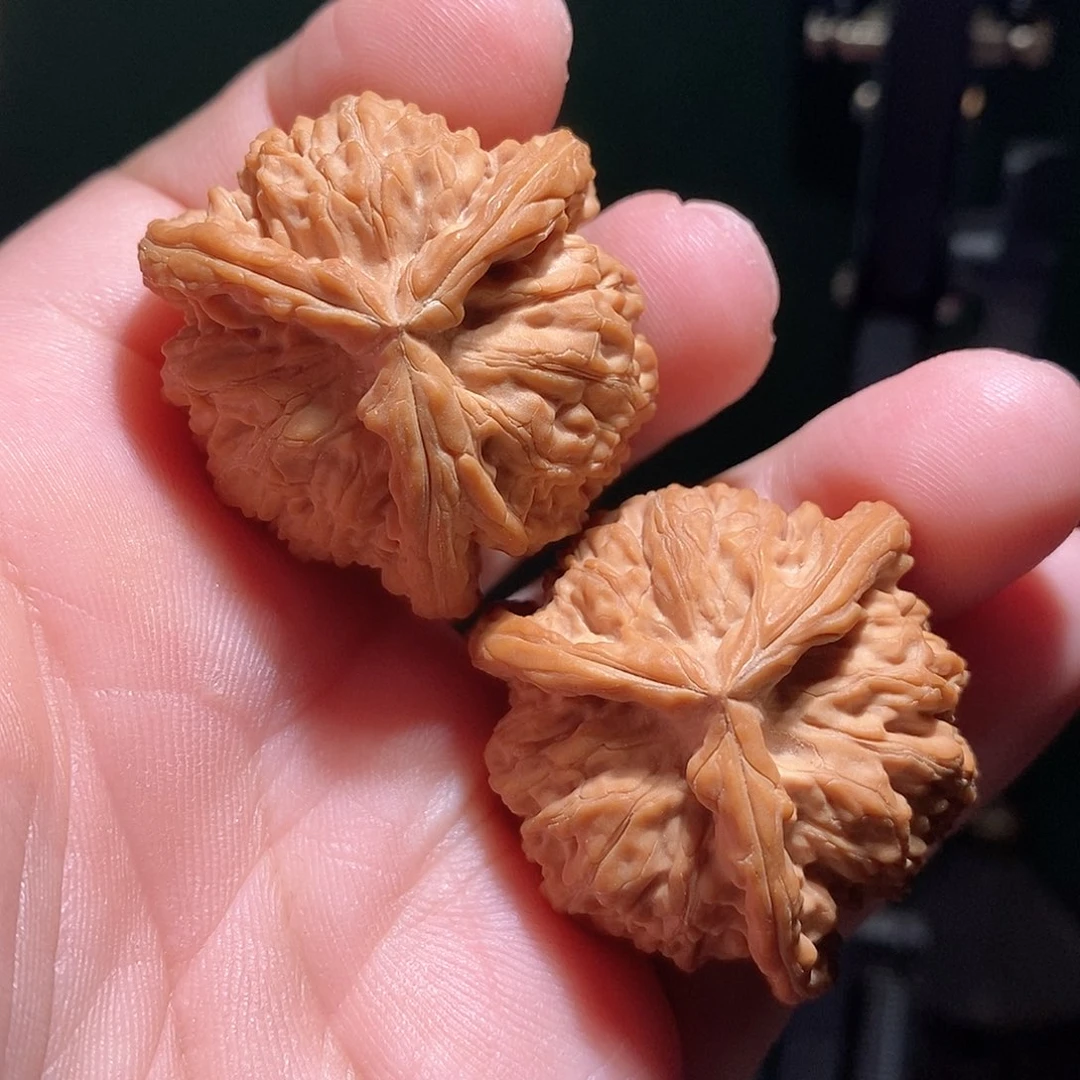 文玩核桃把件37白奔全品