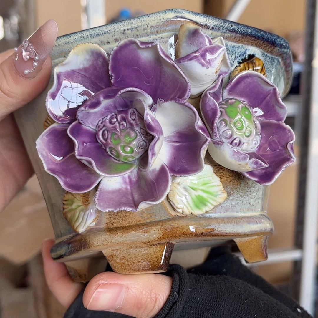 【闪购商品】红陶福利