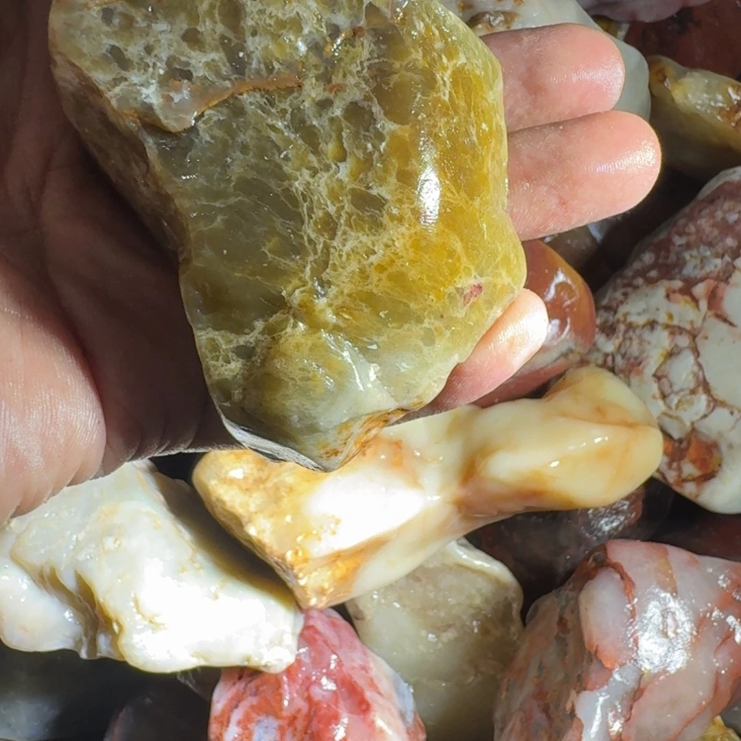 云***哥寿山石8888888888888