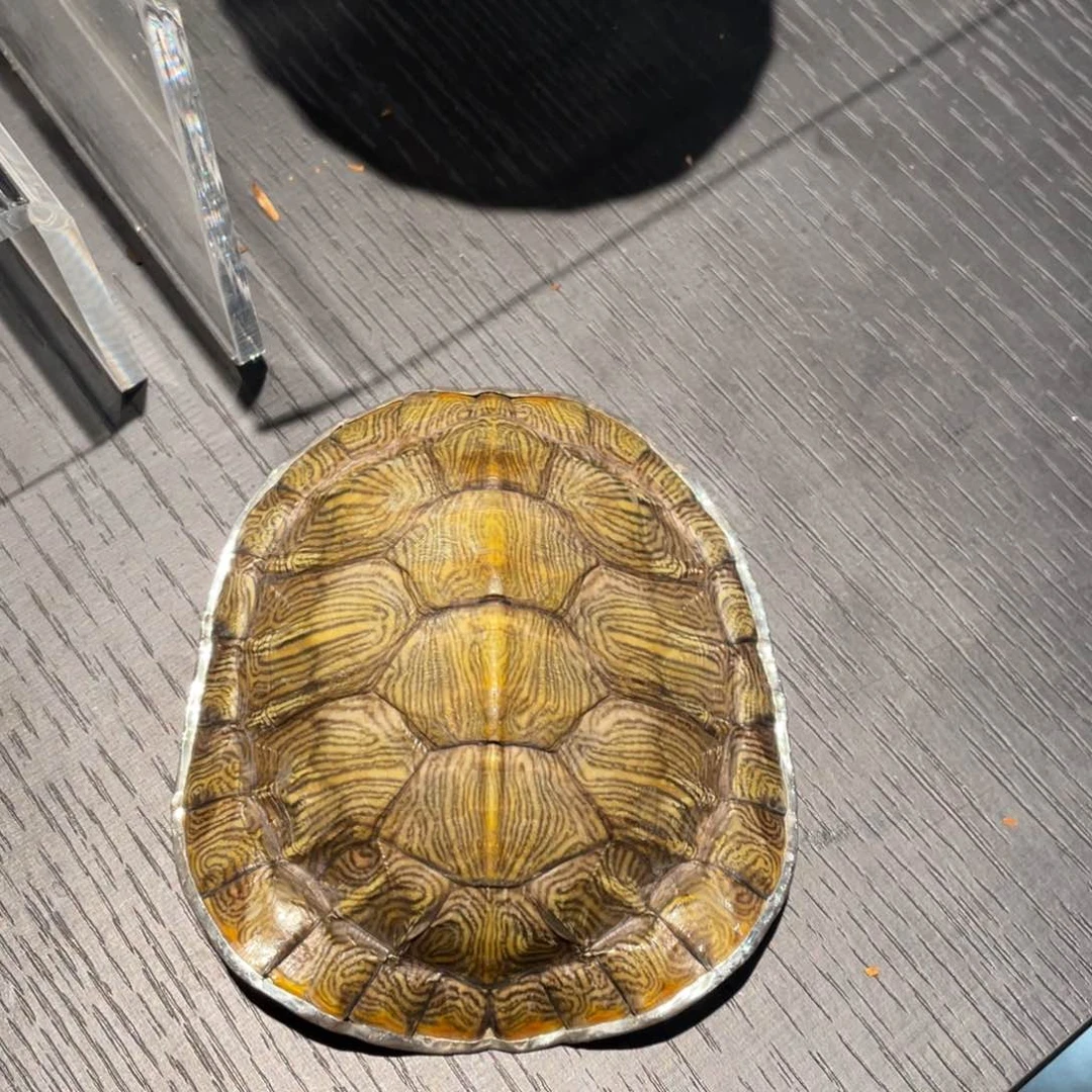 紫砂纯手工制作纯手工制作