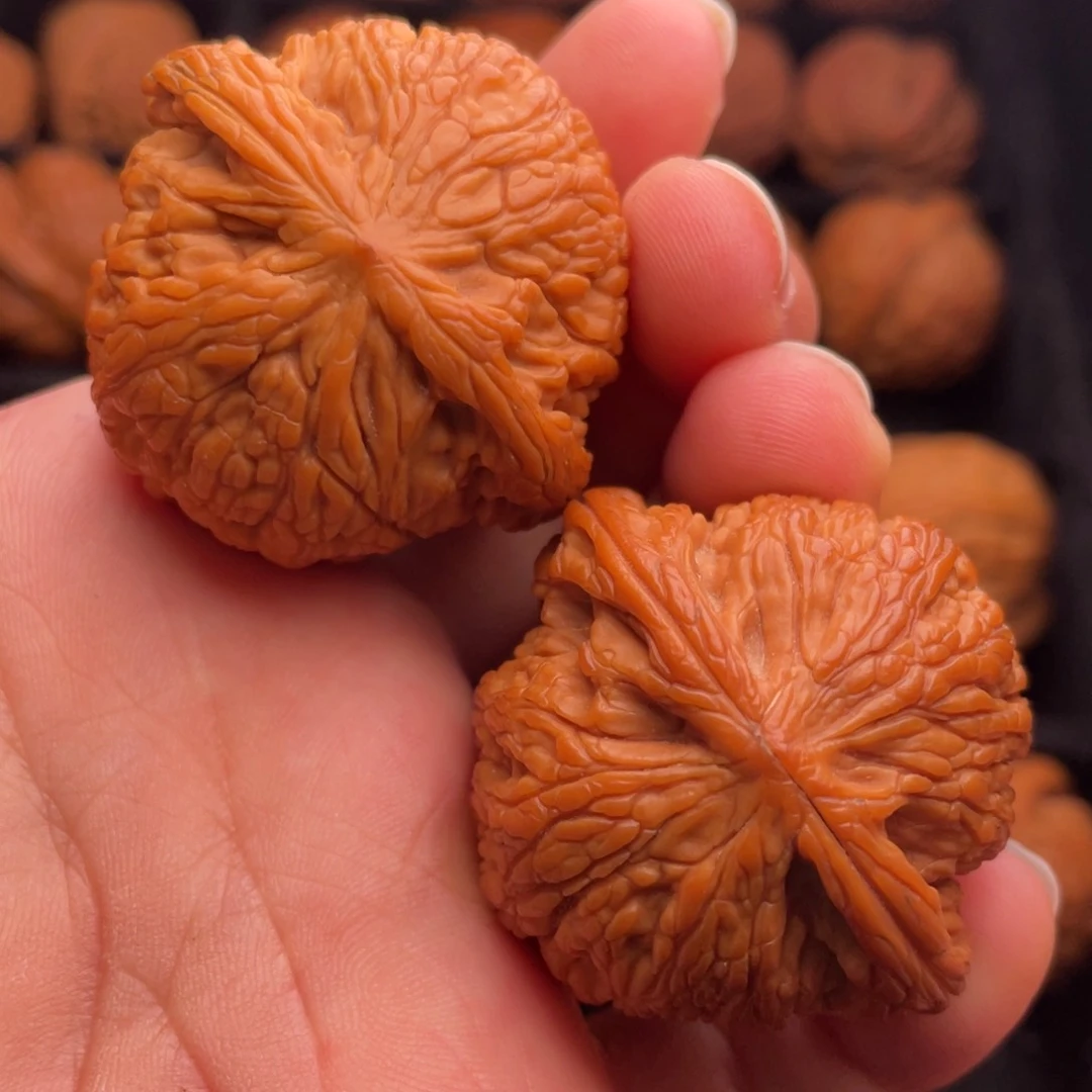 文玩核桃把件秦岭山脉