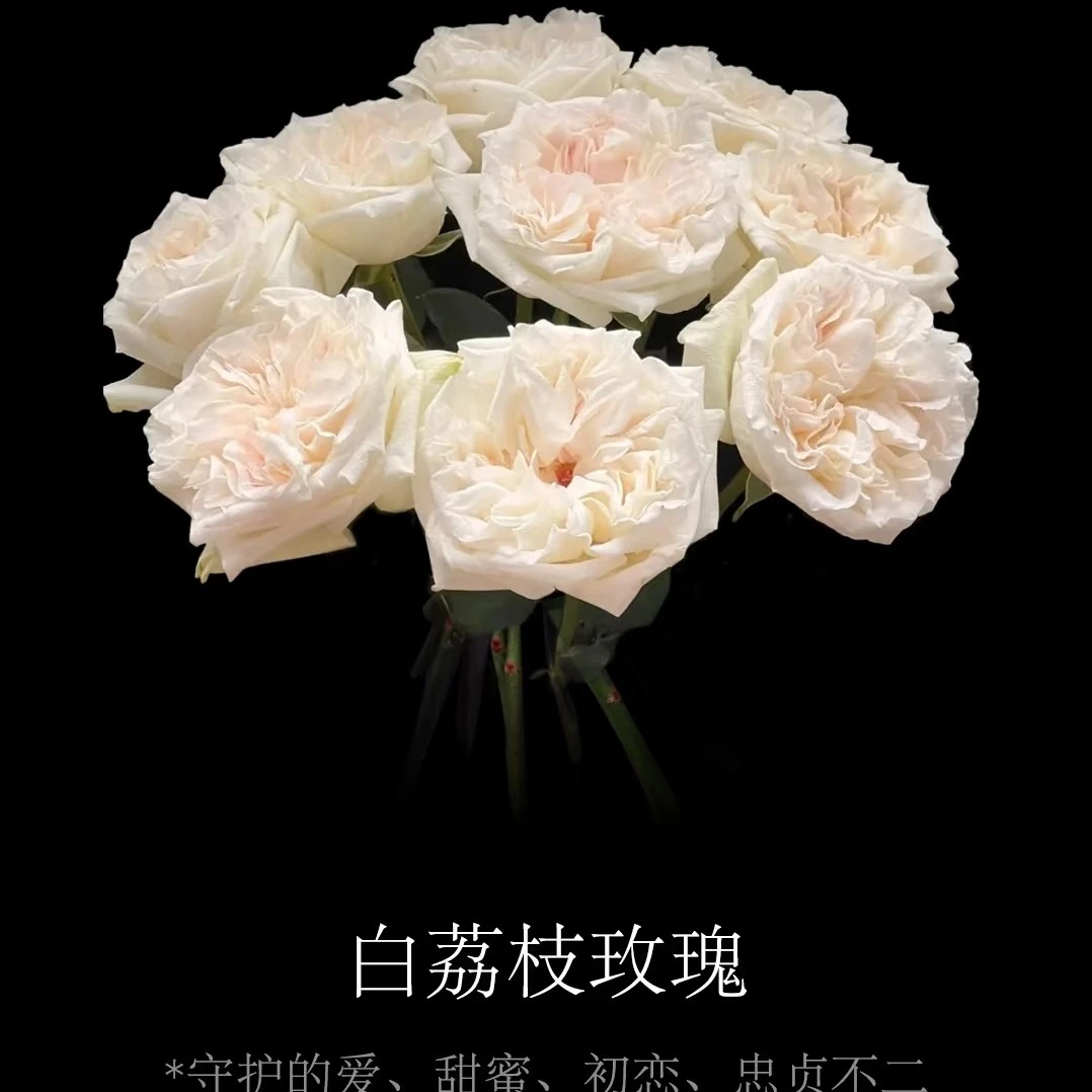 白荔枝玫瑰10支一份