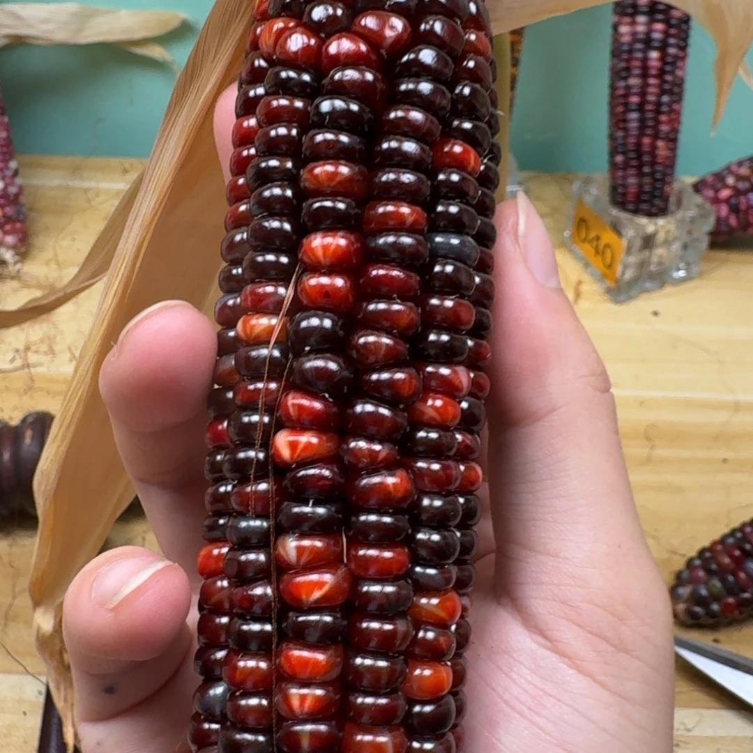 春***然柏香籽/百香籽吊坠