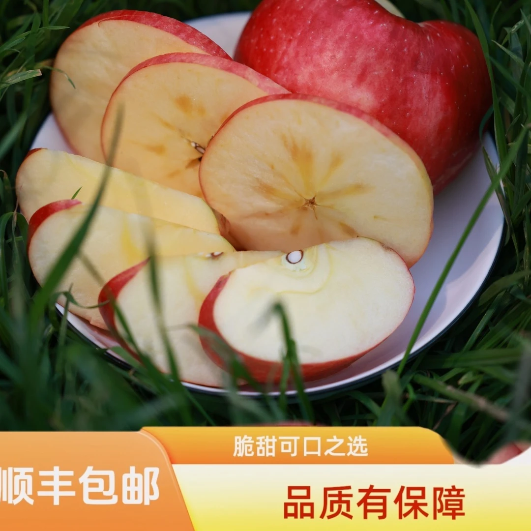 丑苹果中果九斤装*3箱