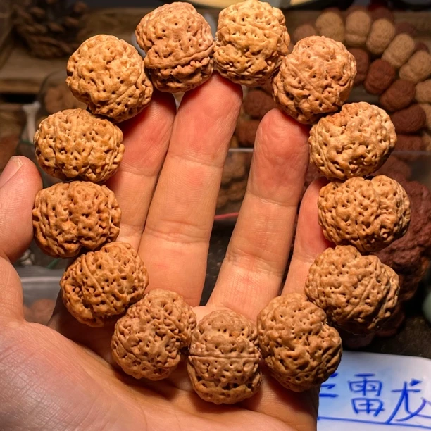 25年尼泊尔新籽超级雷龙大金刚菩提手串人气款大尺寸文玩捡漏牛货