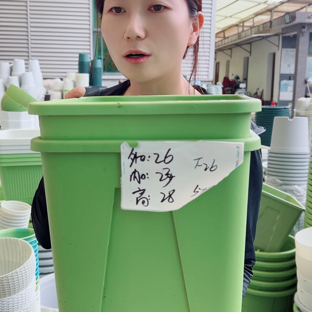 方盆F26果绿3个无托