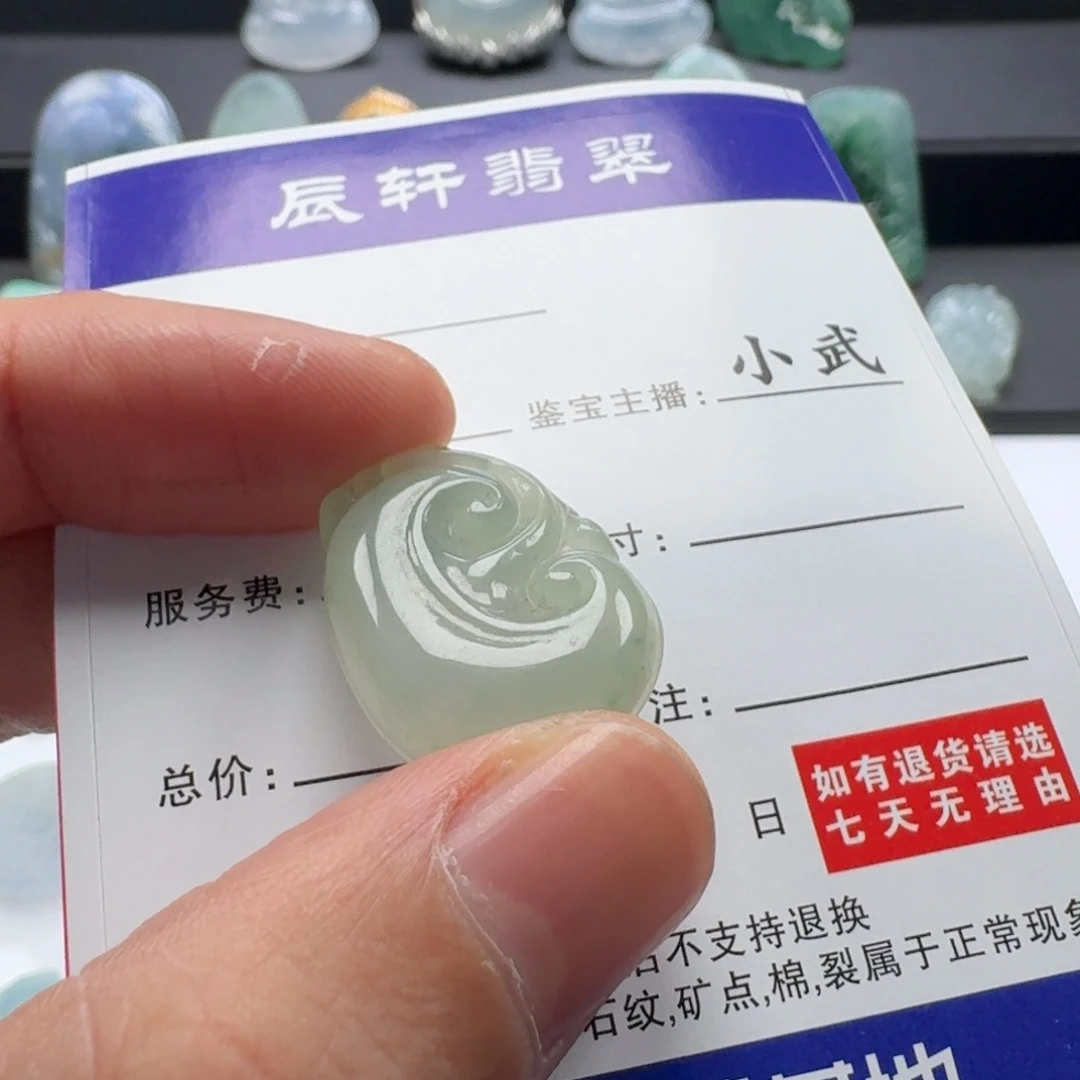 翡翠未镶嵌颈饰     6