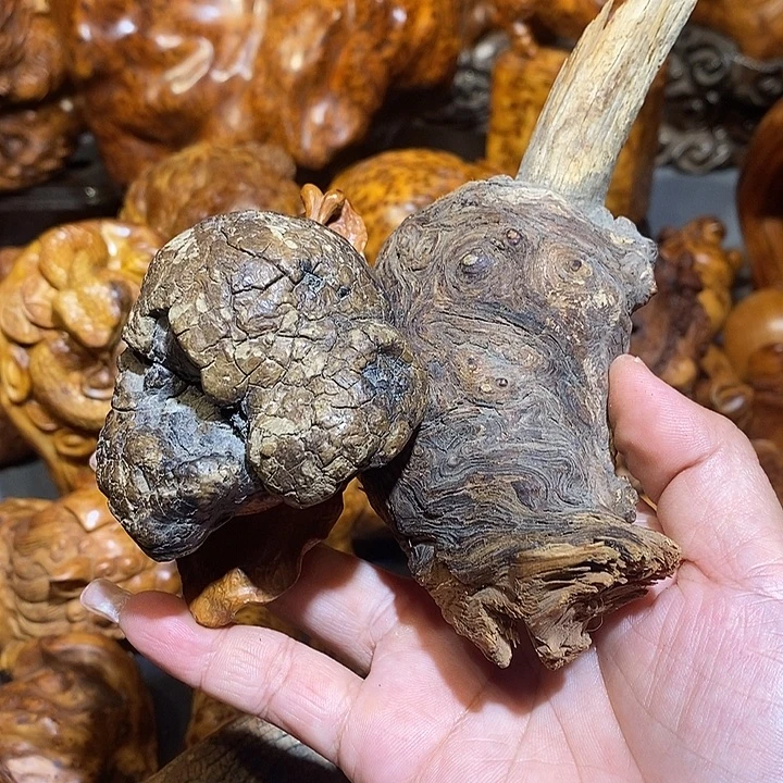 时***、柏木太行崖柏陈化