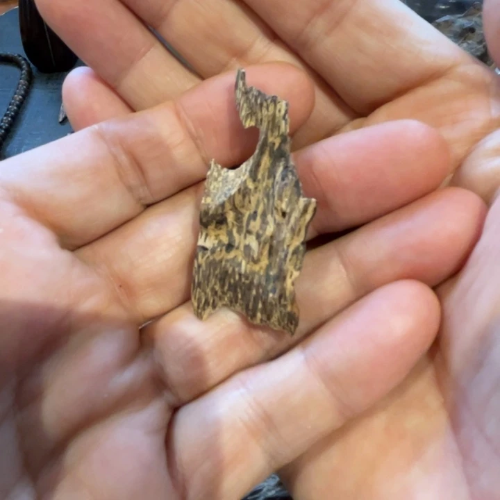 沉香吊坠广东虫漏2.55克