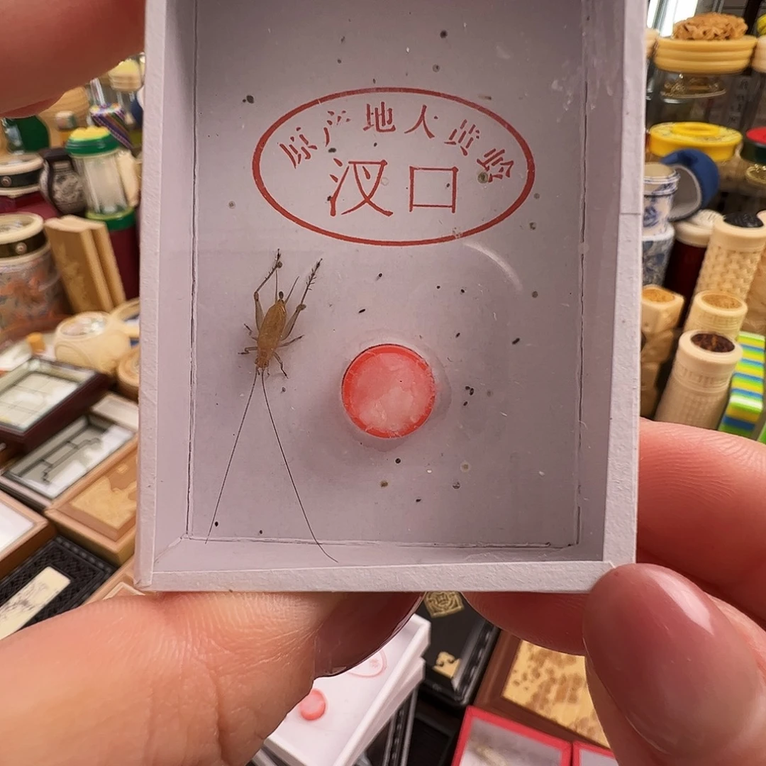 九***爷哈哈段须大黄一个