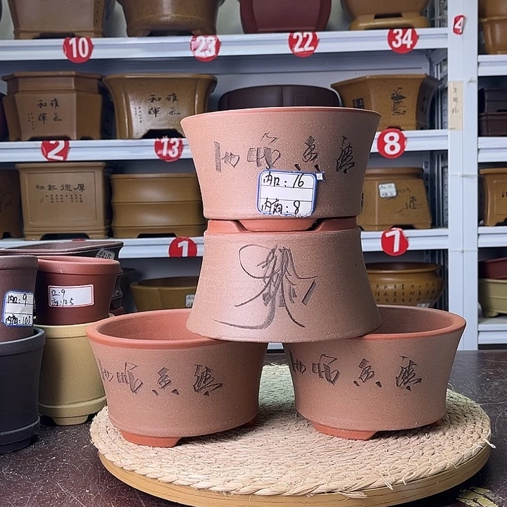 紫砂花盆你在一起
