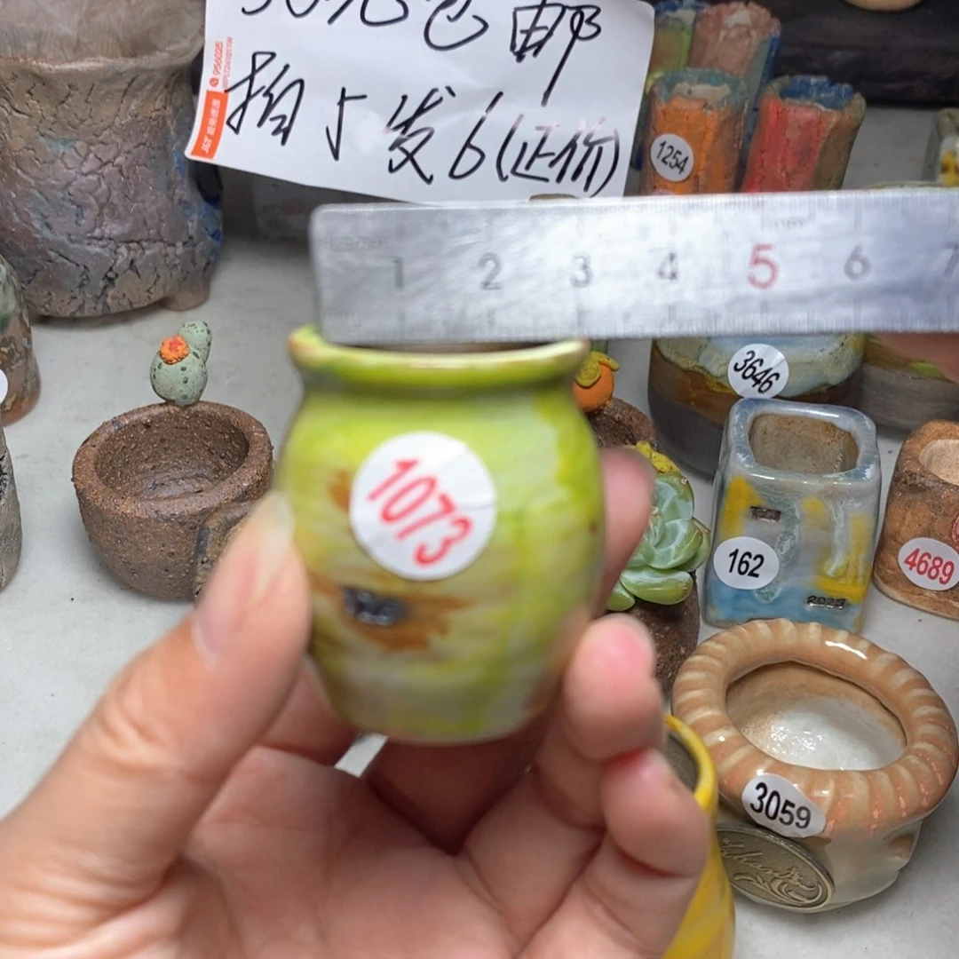 拍5送一个小礼物