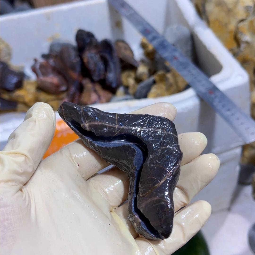 ^*^附石盆景一物一拍