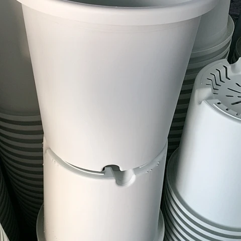 红陶7加奶白无托微瑕3个