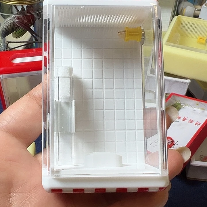 蟋蟀无虫哈哈哈哈哈哈哈哈哈哈呀