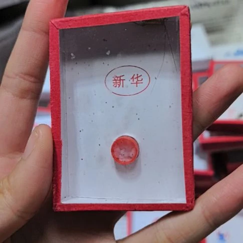 新华大黄蛉一条全品