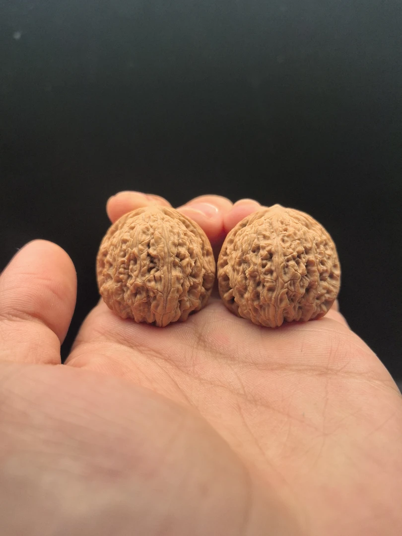 文玩核桃 承德密纹 8564号 33尺寸