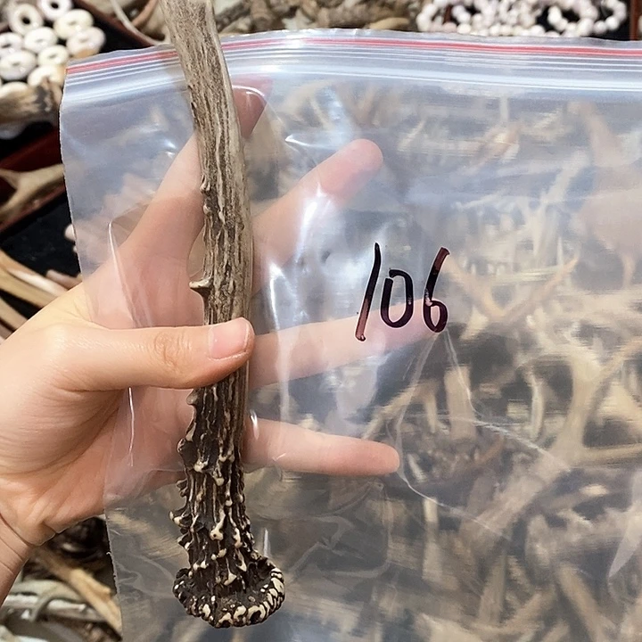 鹿角鹿角鹿角鹿角鹿角