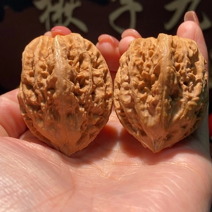 木质类聚核财婉楸130