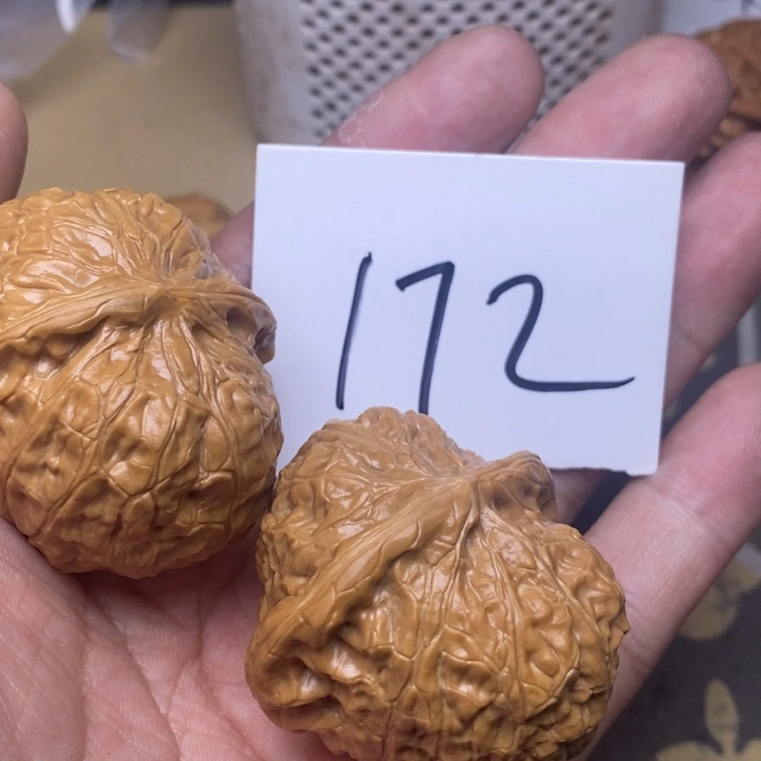 核桃南瓜蹲吃错42