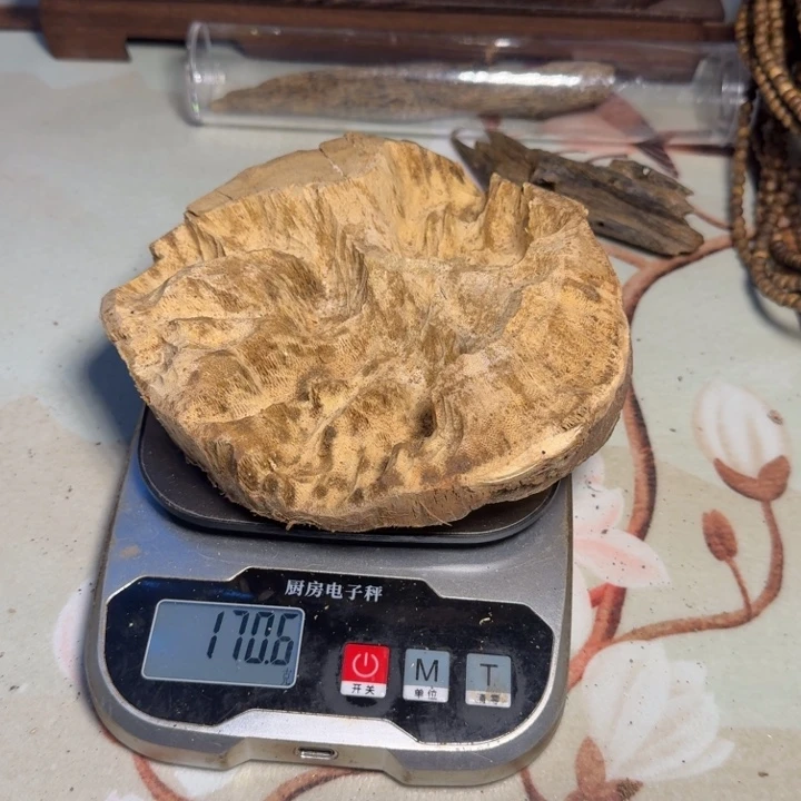 香榧木姜**北奇楠陆河母树包头